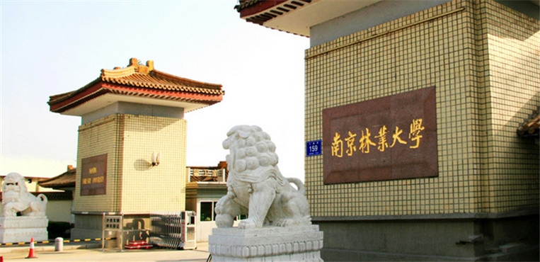 南京林业2021分数线_南京林业大学各省录取分数线_2024年南京林业大学录取分数线（所有专业分数线一览表公布）